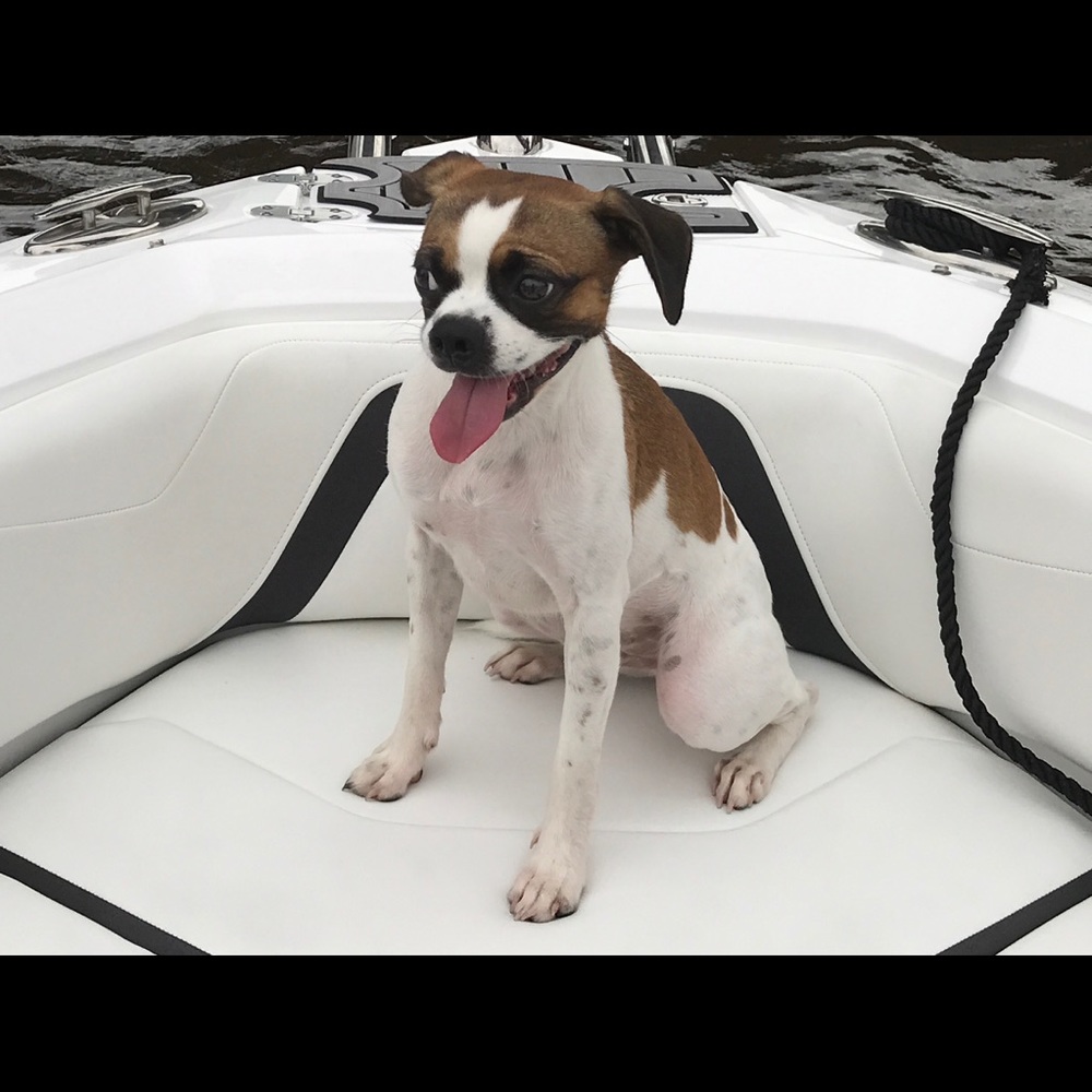 Meet your Posher, Sharon